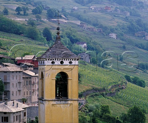 Castione village and vineyards Near Sondrio Lombardy Italy Valtellina