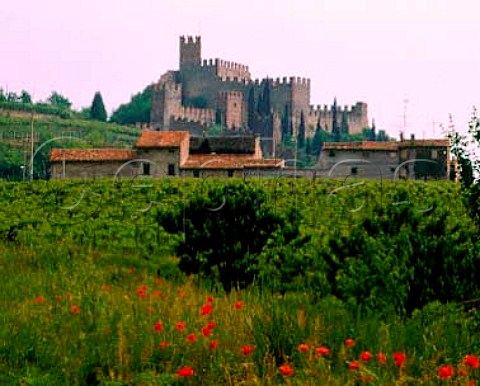 Soave castle Veneto Italy