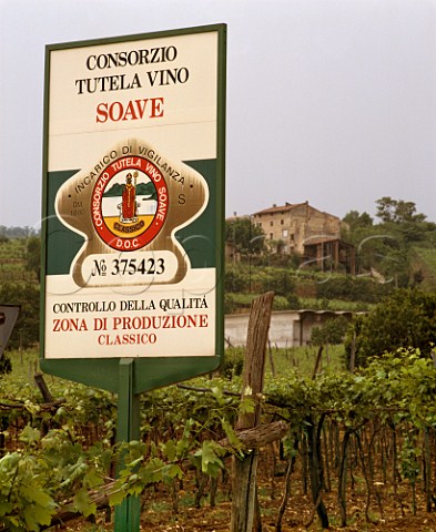 Soave wine sign in vineyard  Veneto Italy