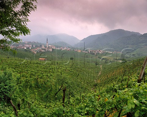 Village and vineyards of Guia on the Strada del Vino Prosecco near Valdobbiadene Veneto Italy  Prosecco di Conegliano Valdobbiadene