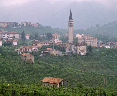 Vineyards around village of Guia near Valdobbiadene on the Strada del Vino  Prosecco Veneto Italy  Prosecco di ConeglianoValdobbidene
