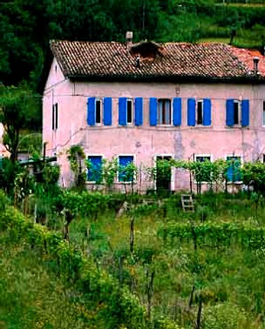 House and vineyard in the Piave Valley   near Feltre Veneto Italy