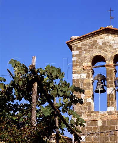 Bell tower in the wine town of Montalcino   Tuscany Italy