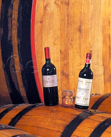 Bottles of Canneto and Aglianico del Vulture in   cellars of Fratelli dAngelo Canneto is their top   wine made only in the best years and aged in   barrique Rionero in Vulture Basilicata Italy