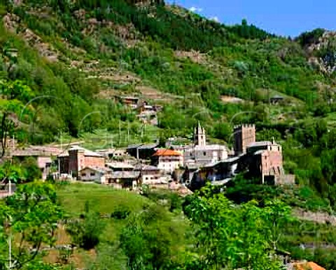 Village of Avise with small terraced vineyards on   the slopes around it     Valle dAosta Italy