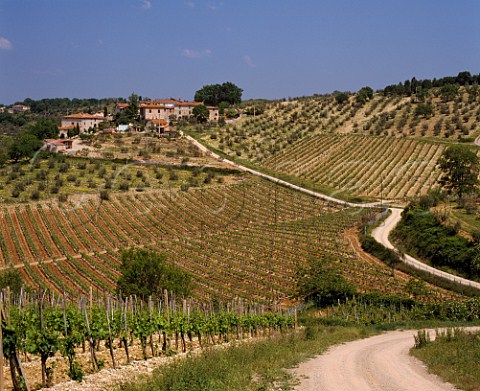 The hamlet of Ama viewed from Castello di Ama near Lecchi Tuscany Italy Chianti Classico