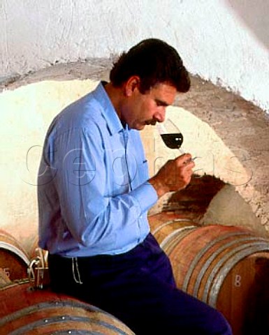 Consultant winemaker Maurizio Castelli checking a   sample of Balifico a vdt of Sangioveto Mammolo and   Cabernet from barrique in the cellars of Castello di   Volpaia Tuscany Italy
