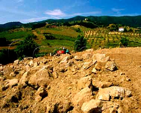 Preparing a new vineyard on Tenuta di Capezzana The   soil has been ploughed to a depth of one metre to   remove the rocks   Seano di Carmignano Tuscany Italy  Carmignano