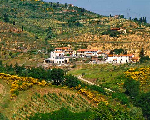 Village of Tizzana near Prato Tuscany Carmignano