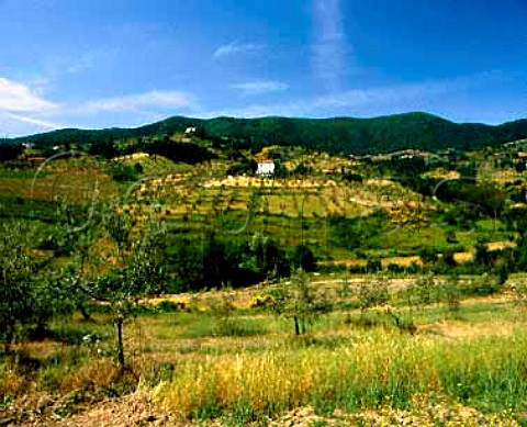 Landscape near Seano di Carmignano Tuscany Italy   Carmignano