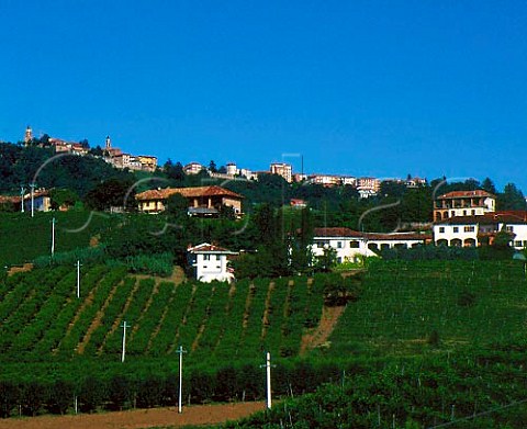 Winery of Renato Ratti below the hilltop town of   La Morra Piemonte Italy  Barolo