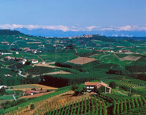 View northwest from Castiglione Falletto to Verduno   with the Alps in the far distance Piemonte Italy    Barolo
