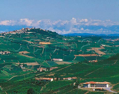 View northwest from Monforte dAlba La Morra is   the hilltop town on left with Verduno on right and   the Alps are in the far distance  Piemonte Italy     Barolo
