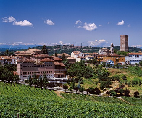 Barbaresco village with the Alps in the far distance    the winery of Angelo Gaja is on the left   Piemonte Italy