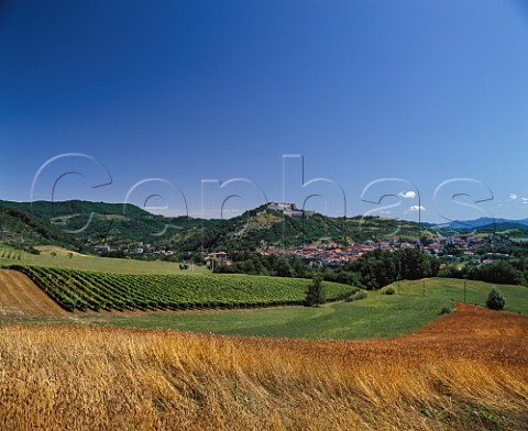 Town of Gavi with its Genoese fort on the hilltop   Piemonte Italy    Gavi