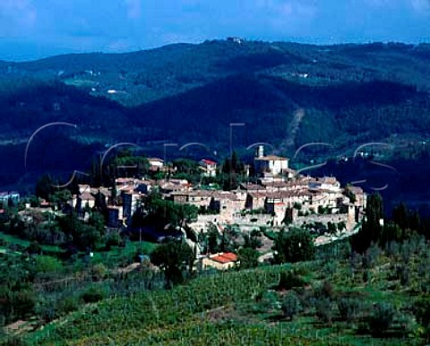 Vineyards around the village of Montefiorale   near Greve in Chianti Tuscany Italy    Chianti Classico