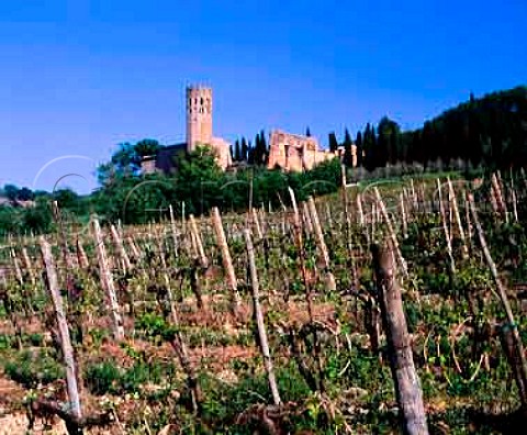 The 12thcentury La Badia monastery amidst its   vineyards Orvieto Umbria Italy    Orvieto