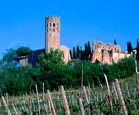 The 12thcentury La Badia monastery amidst its   vineyards Orvieto Umbria Italy     Orvieto