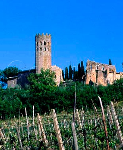 The 12century La Badia monastery amidst its   vineyards Orvieto Umbria Italy  Orvieto