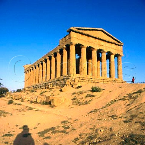 Temple of Concordia in the Valley of Temples      Agrigento Sicily