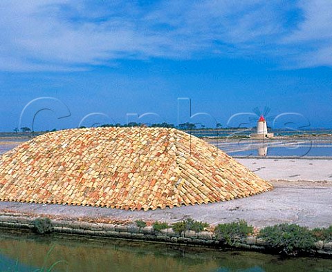 Salt pans north of Marsala  the piles of salt are   covered over to allow them to dry    Trapani   province Sicily