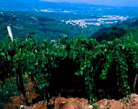 View from La Fitta vineyard at Fitta to the town of   Brognoligo Veneto Italy   DOC Soave Classico