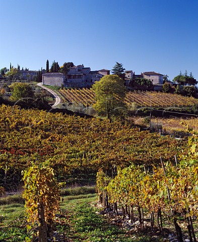Castello di Ama and its autumnal vineyards Lecchi Tuscany Italy Chianti Classico