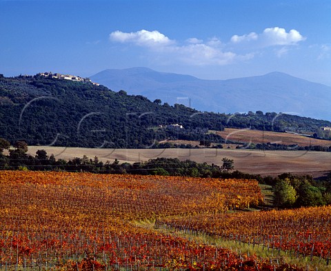 View over vineyard of Villa Banfi to the hilltop   village of SantAngelo in Colle and the 1738m high   Monte Amiata in the distance  Montalcino Tuscany   Italy Brunello di Montalcino