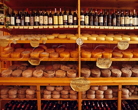 Local Pecorino cheeses and Tuscan wines on sale in La Bottega del Naturista Pienza Tuscany Italy
