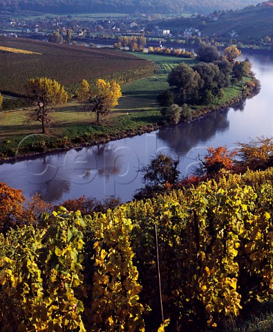 View over vineyards near Greiveldange Luxembourg   across the Moselle River to those around Palzem   Germany