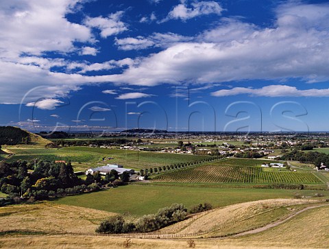 Mission Estate winery and vineyards with Hawke Bay in distance  Taradale near Napier New Zealand Hawkes Bay