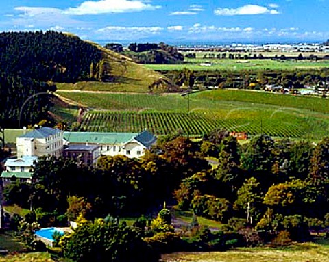 Mission Vineyards and the seminary of the Brothers   of the Society of Mary Napier and Hawke Bay can be   seen in distance Hawkes Bay NZ  North Island