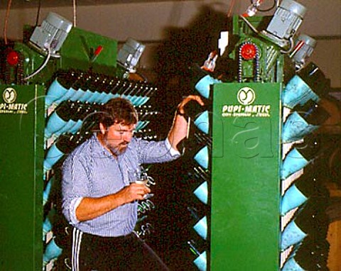 Bottles of sparkling wine in a PupiMatic an   automated remuage machine