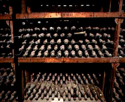 Bottles in the wine cellar of the   Buaco Palace Hotel Portugal