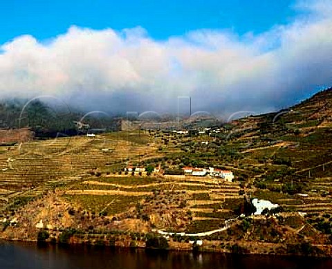 Morning fog on the hills above Quinta das Sopas and   the Douro river near Pinhao  Port
