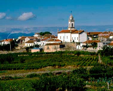 Village of Favaios self proclaimed Capital of   Moscatel high in the hills north of Pinhao and the   Douro valley