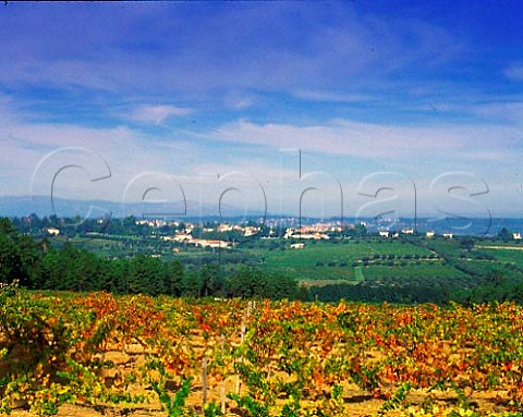 View over vineyards to the Conde de Santar estate   around the village of Santar Portugal   Do