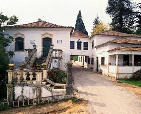 Quinta do Ribeirinho of Luis Pato  a property bought by his grandfather  Near Anadia Portugal   Bairrada