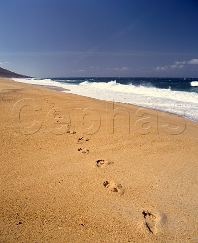 Footprints on the Atlantic Ocean beach of Praia do  Salgado Estremadura Portugal