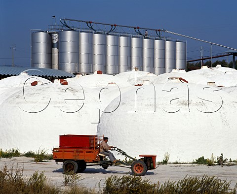 Stainless steel and concrete tanks at the Arruda   cooperative winery Estremadura Portugal Arruda IPR