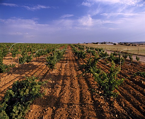The winery viewed over one of the vineyards on the   enormous estate of Herdade do Esporo  Reguengos de Monsaraz Alentejo Region Portugal