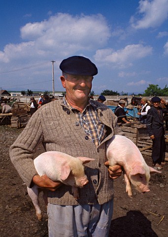 Man buying piglets at a gypsy market in  northwest Romania