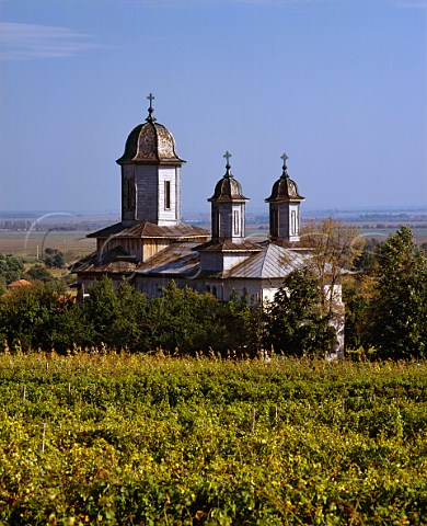 Vineyard and church in the foothills of the Carpathian Mountains at Dealul Vei  Romania     Dealul Mare
