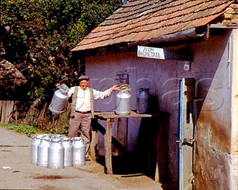 Milk churns Fiser Transylvania Romania