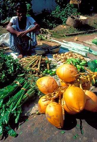 Selling coconuts at Mount Lavinia market Sri Lanka