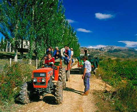 Grape pickers on tractor with the Sierra de   Cantabria in the distance Brinas La Rioja Spain   Rioja Alta