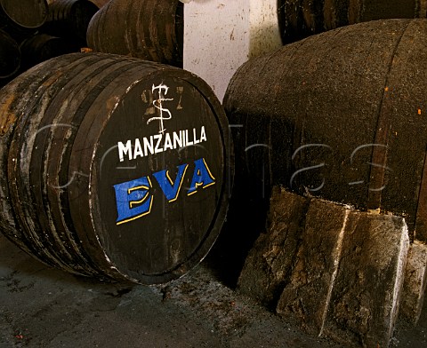 Manzanilla Eva barrel in bodega of Antonio   Barbadillo Sanlucar de Barrameda Andalucia Spain   Manzanilla  Sherry