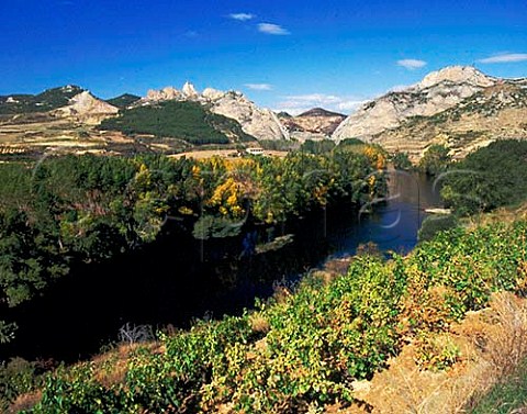 Vineyards overlooking the Rio Ebro and the Conchas  de Haro near Haro Spain Rioja