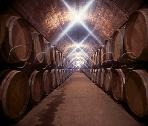 Barrel cellar of Miguel Torres Pacs del Peneds   Catalonia Spain