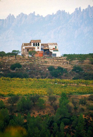 Vineyards and farmhouse with the Sierra   de Montserrat beyond near Sant Sadurni   dAnoia Catalonia Spain   Penedes